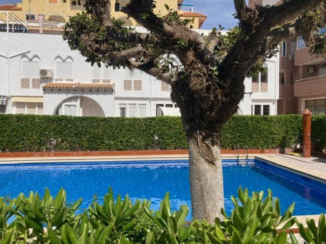 Casa Torrevieja La Mata Exterior foto